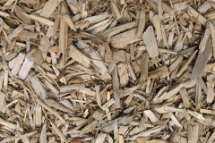 biomass boilers Gattonside