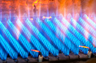 Gattonside gas fired boilers